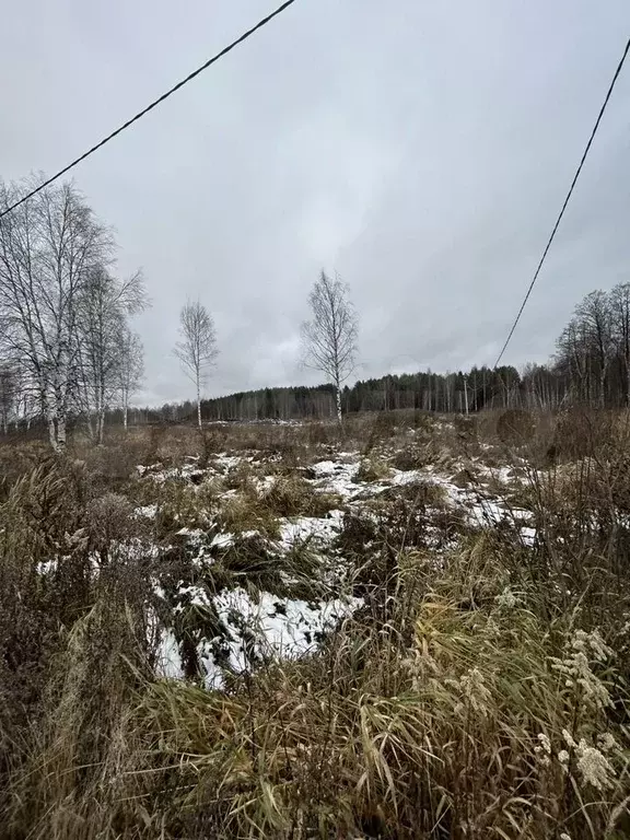 Участок 9,5 сот. (ИЖС) - Фото 1