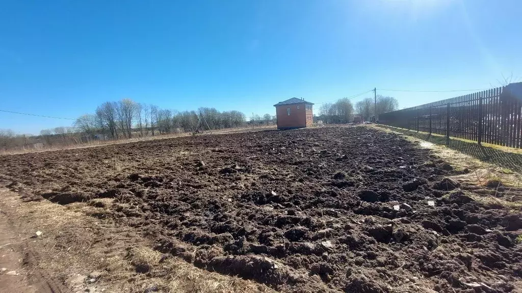 Участок в Ленинградская область, Киришский район, Глажевское с/пос, ... - Фото 2
