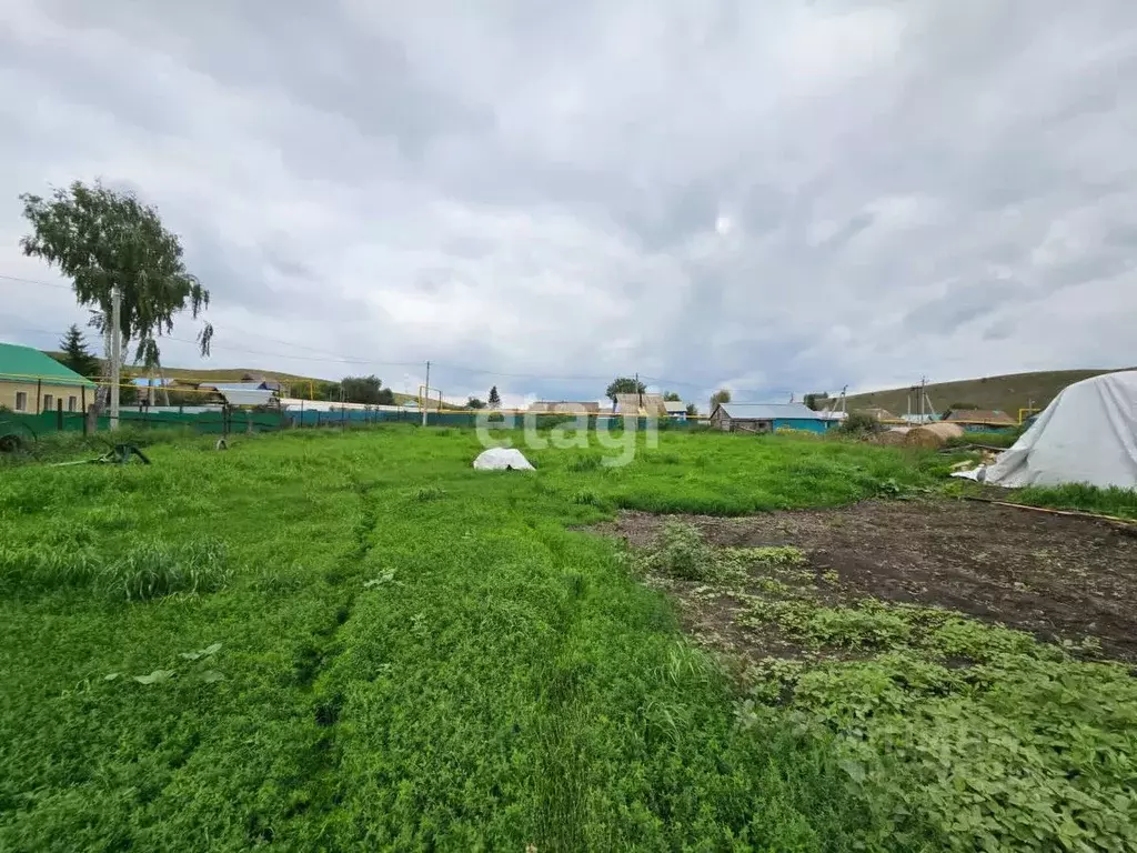 Участок в Татарстан, Лениногорский район, Каркалинское с/пос, с. ... - Фото 1