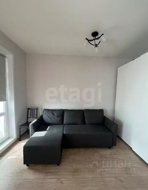 Студия Пермский край, Пермь ул. Александра Турчевича, 6 (28.0 м) - Фото 2