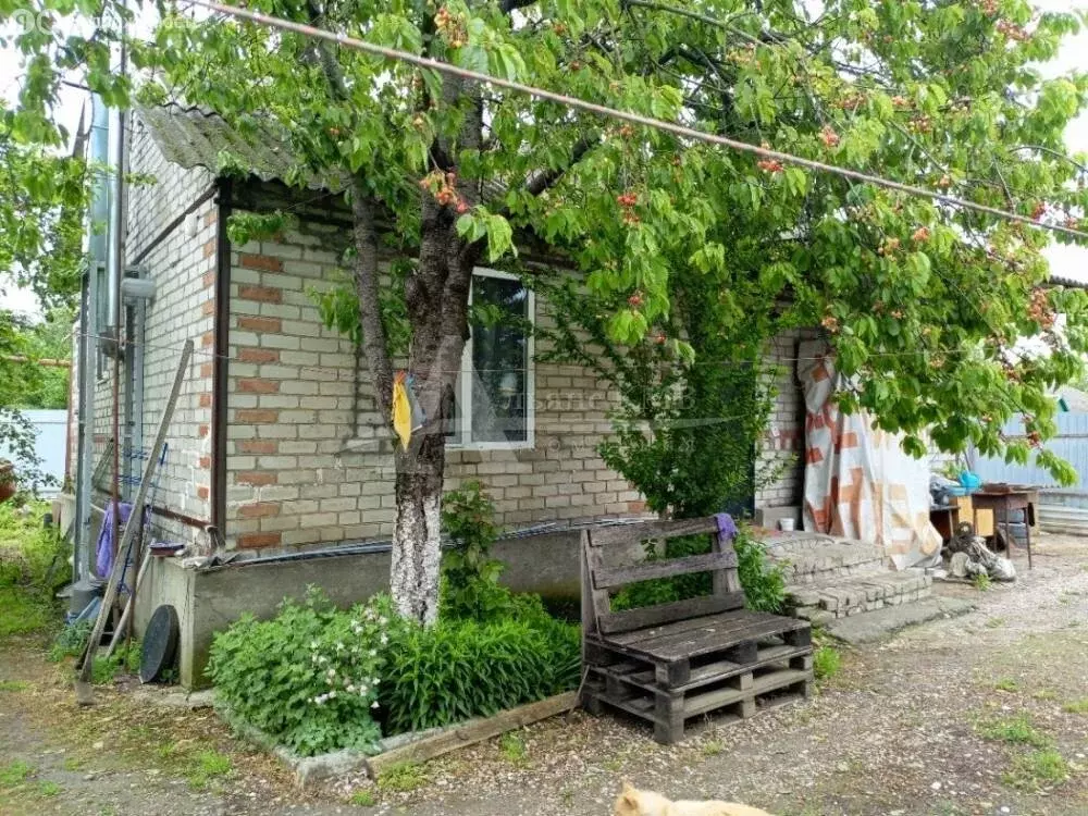 Дом в станица Александрийская, улица Горького (61.6 м) - Фото 1
