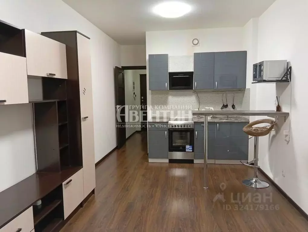 Студия Санкт-Петербург просп. Ветеранов, 171к1 (24.4 м) - Фото 2