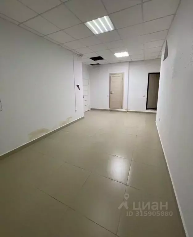 Помещение свободного назначения в Краснодарский край, Сочи ул. ... - Фото 1