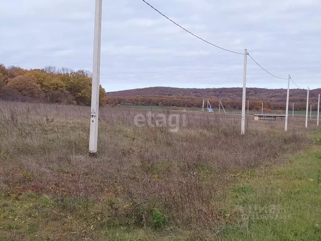 Участок в Краснодарский край, Новороссийск городской округ, ... - Фото 0