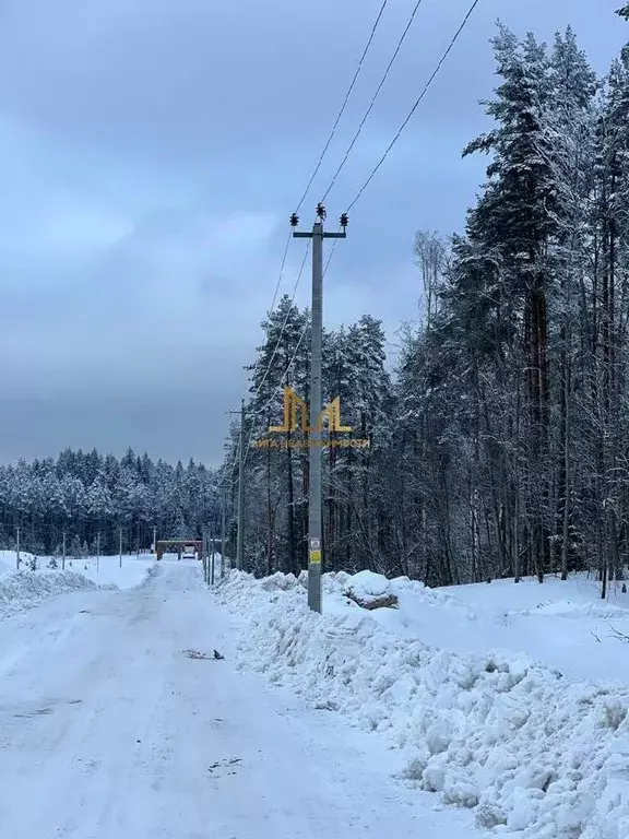 Участок в Ленинградская область, Всеволожский район, Токсовское ... - Фото 1