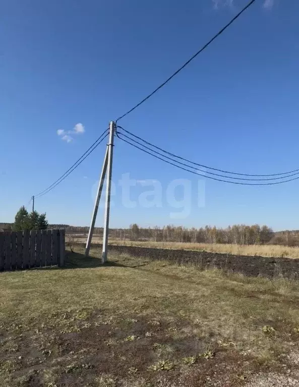 Участок в Курганская область, Шадринский муниципальный округ, с. Ключи ... - Фото 1