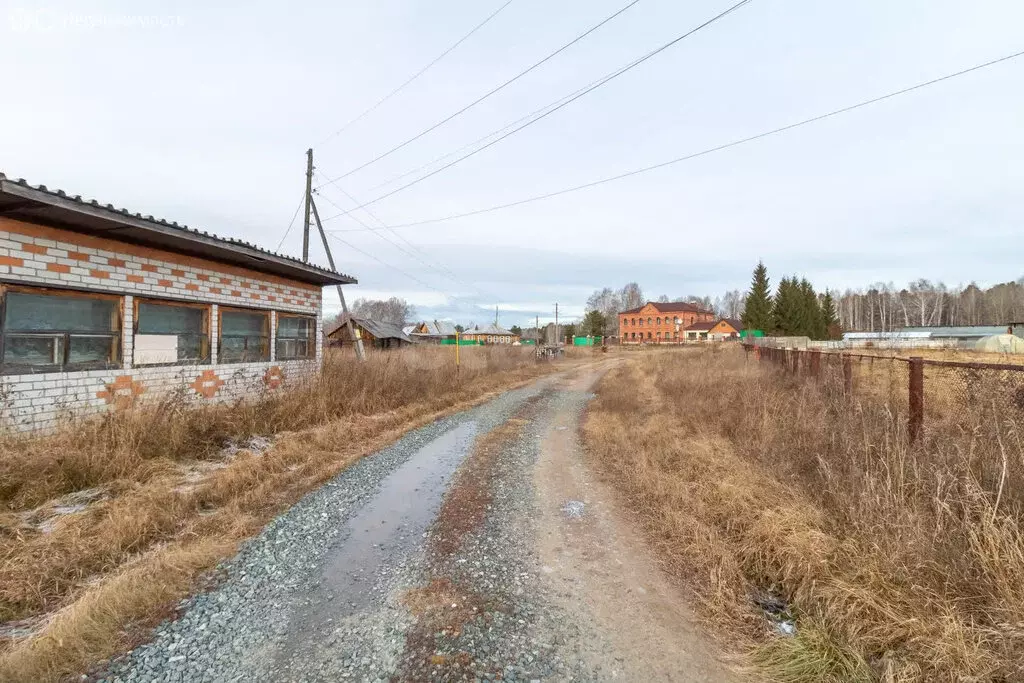 Участок в Тюменская область, Нижнетавдинский муниципальный округ, село ... - Фото 2