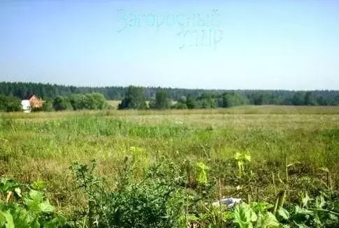 Участок 3,62 га (СНТ, ДНП) - Фото 1