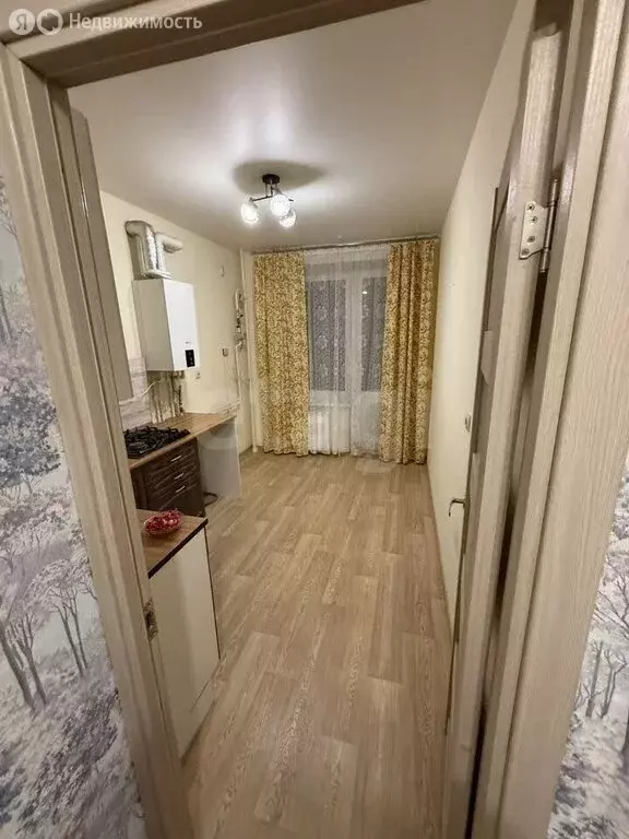 1-комнатная квартира: посёлок Красный Бор, Большая Заозёрная улица, 31 ... - Фото 2