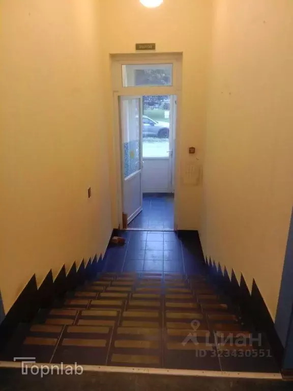 Торговая площадь в Санкт-Петербург Богатырский просп., 22к1 (253 м) - Фото 2