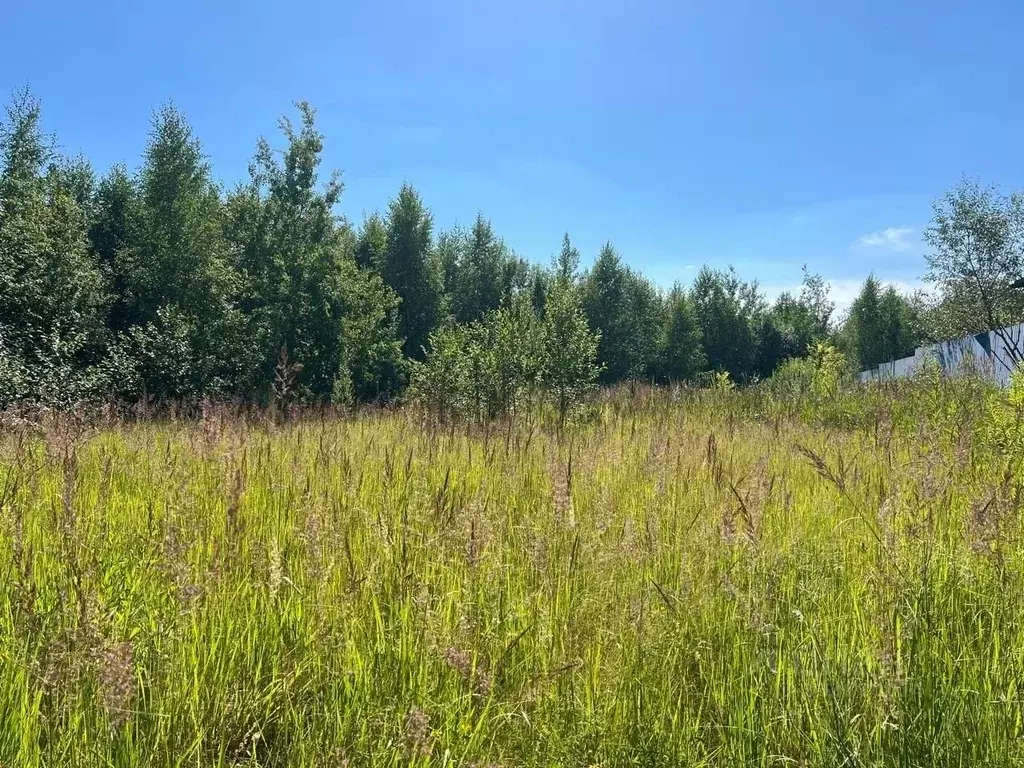 Участок в Московская область, Химки городской округ, д. Шемякино  ... - Фото 2