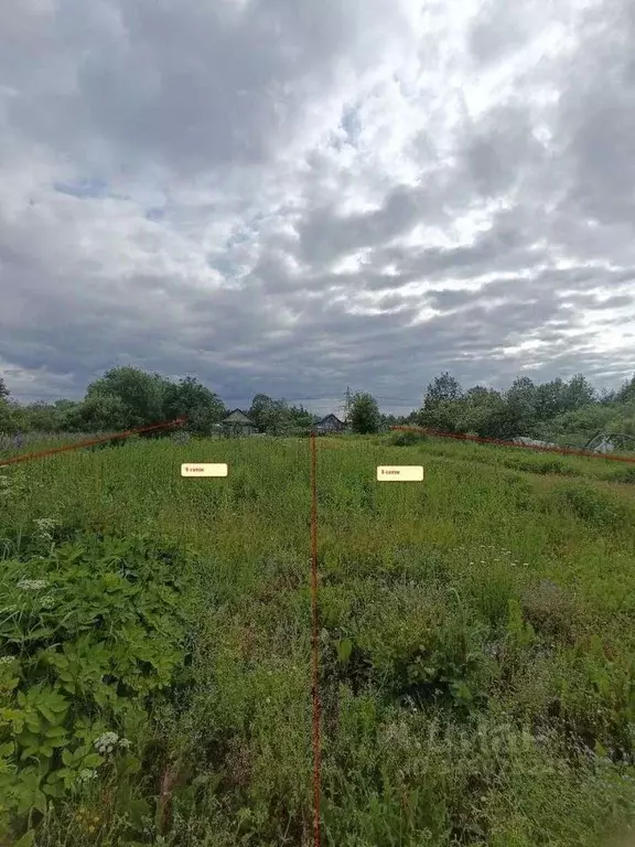 Участок в Новгородская область, Новгородский район, Ермолинское с/пос, ... - Фото 1