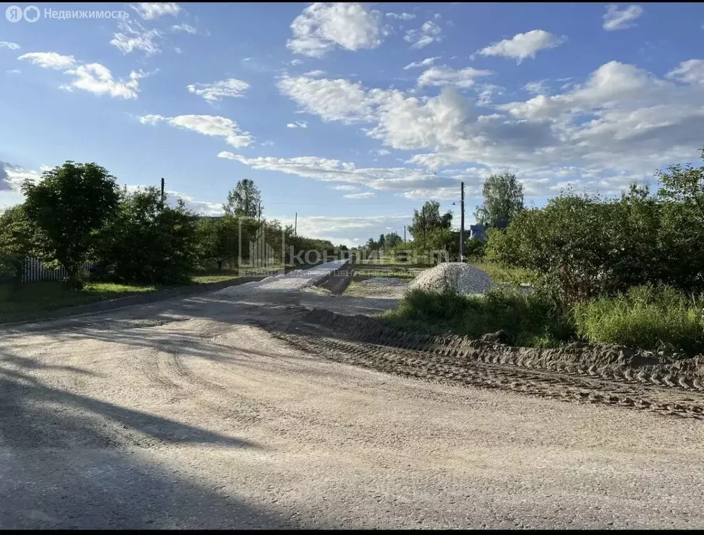 Участок в Владимирская область, Селивановский муниципальный округ, ... - Фото 1