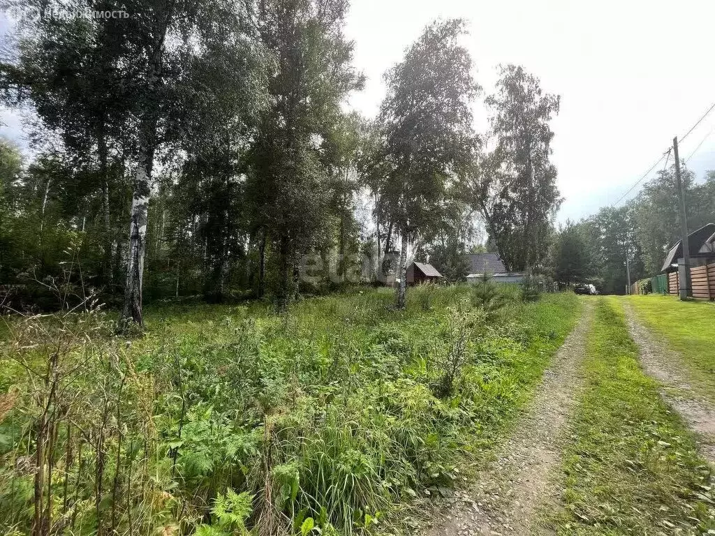 Участок в Мошковский район, СНТ Полёт (6.1 м) - Фото 2