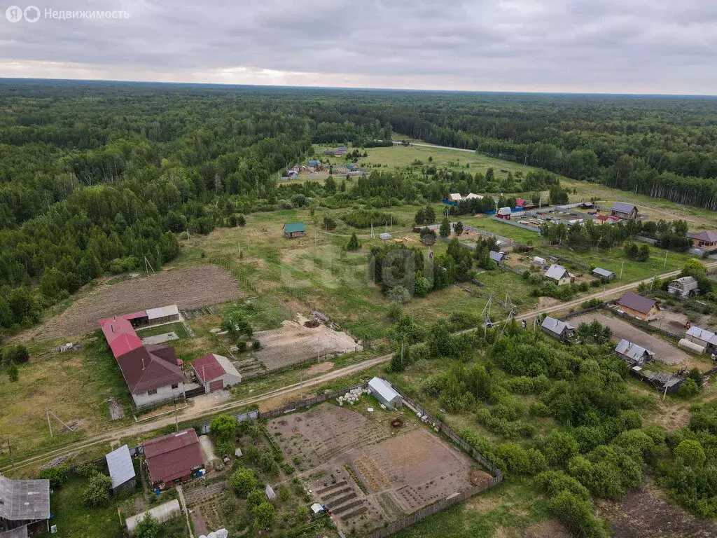 Участок в Тюменский район, деревня Головина (12 м) - Фото 1