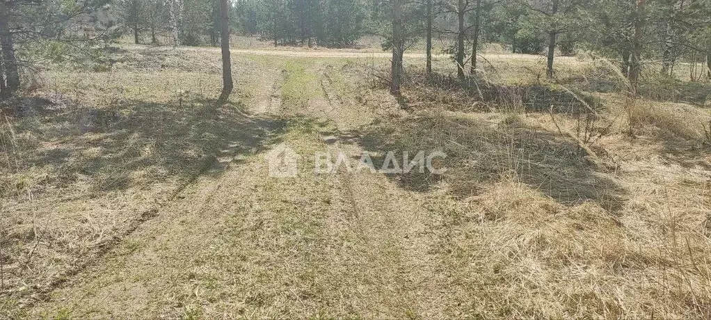 Участок в Ивановская область, Ивановский муниципальный округ, д. ... - Фото 2
