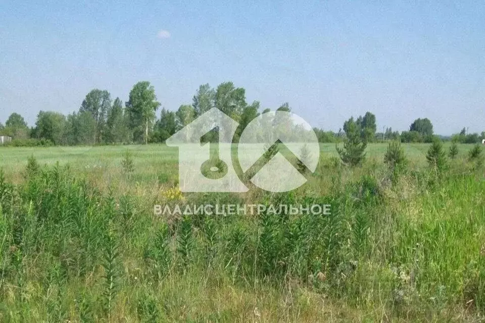 Участок в Новосибирская область, Новосибирский район, Верх-Тулинский ... - Фото 1
