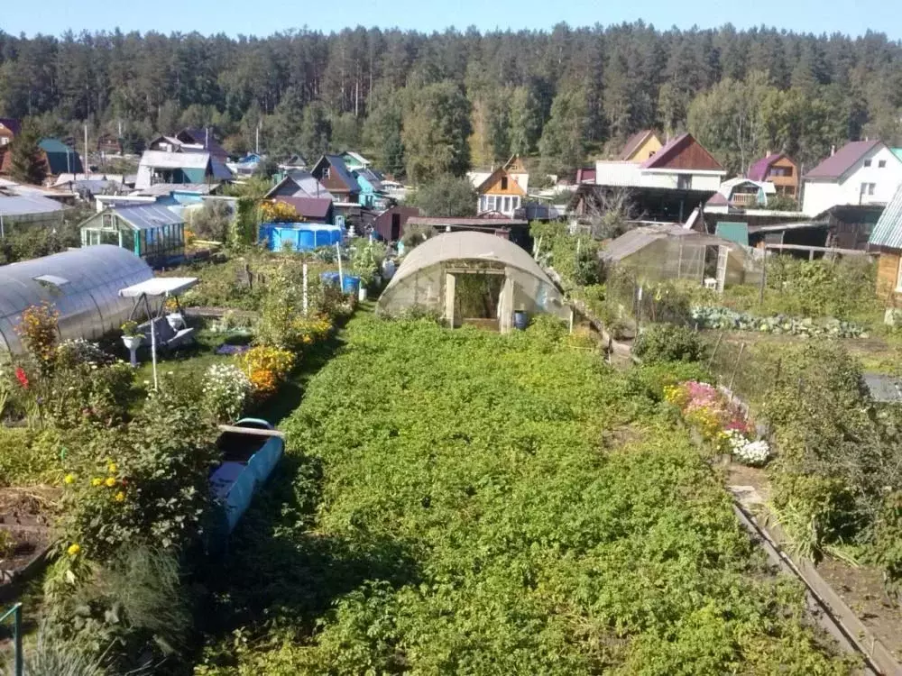 Дом в Иркутская область, Иркутск Строитель СНТ, ул. Злобина, 18 (40 м) - Фото 1