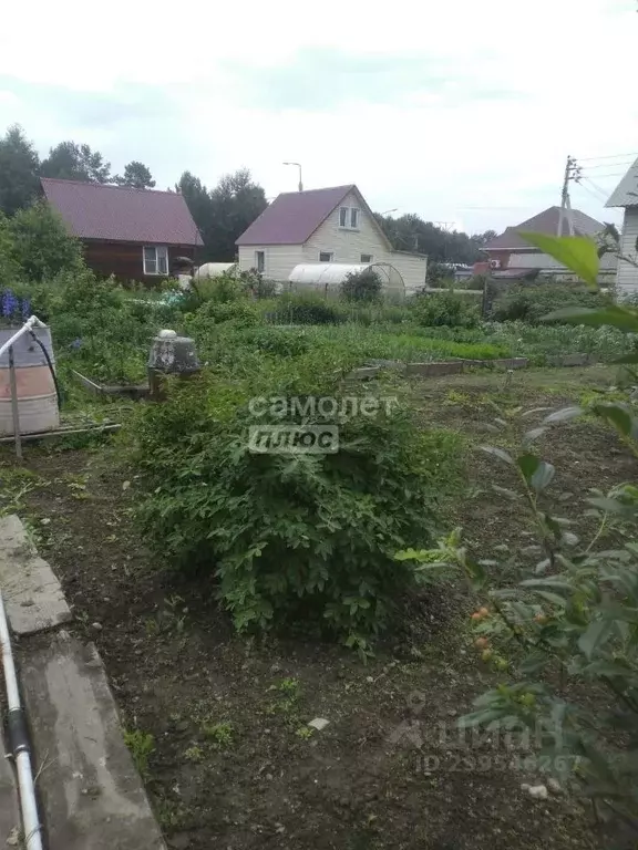 Участок в Иркутская область, Иркутский муниципальный округ, с. ... - Фото 0