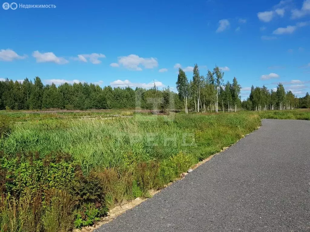 Участок в Куйвозовское сельское поселение, КП Грузино сити (6.02 м) - Фото 1