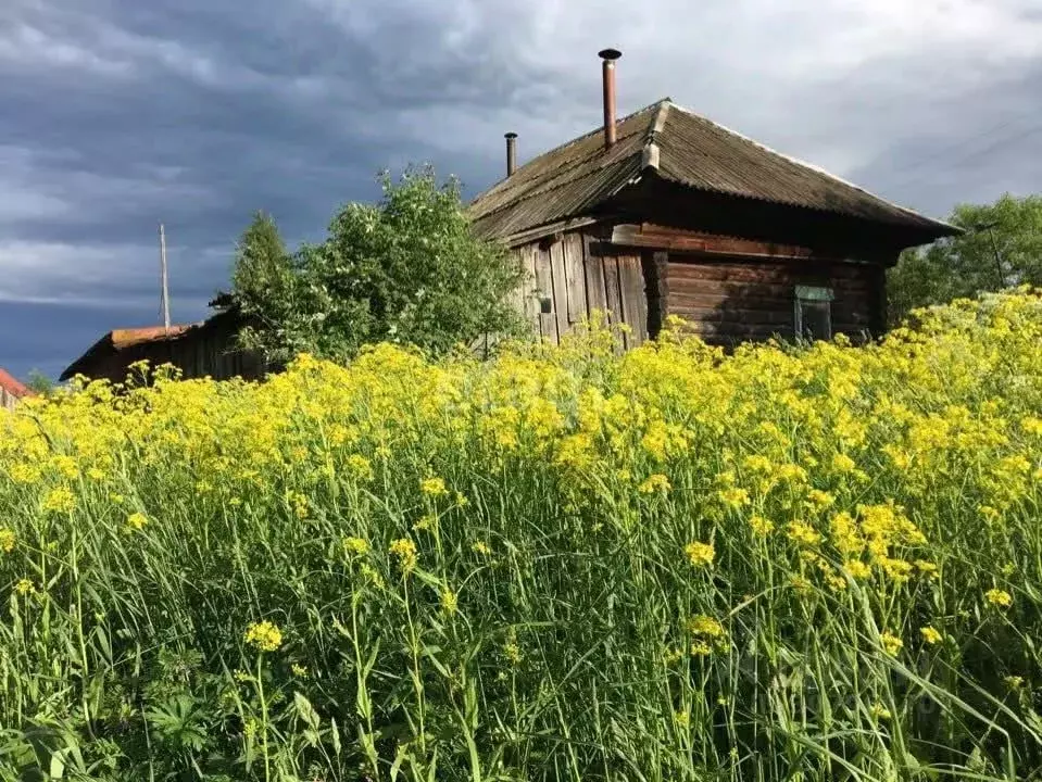 Дом в Пермский край, Кунгурский муниципальный округ, д. Нивино пер. ... - Фото 0