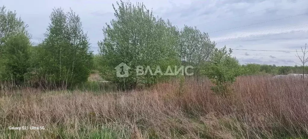 Участок в Калининградская область, Гурьевский муниципальный округ, ... - Фото 0