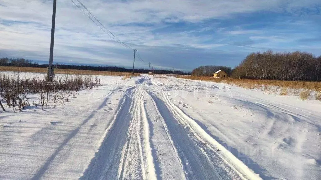 Участок в Тюменская область, Тюменский район, с. Горьковка  (6.37 ... - Фото 0