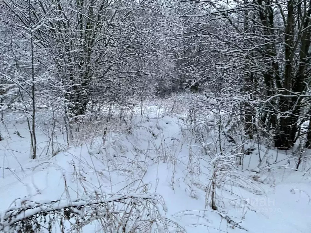 Участок в Московская область, Воскресенск городской округ, д. ... - Фото 0
