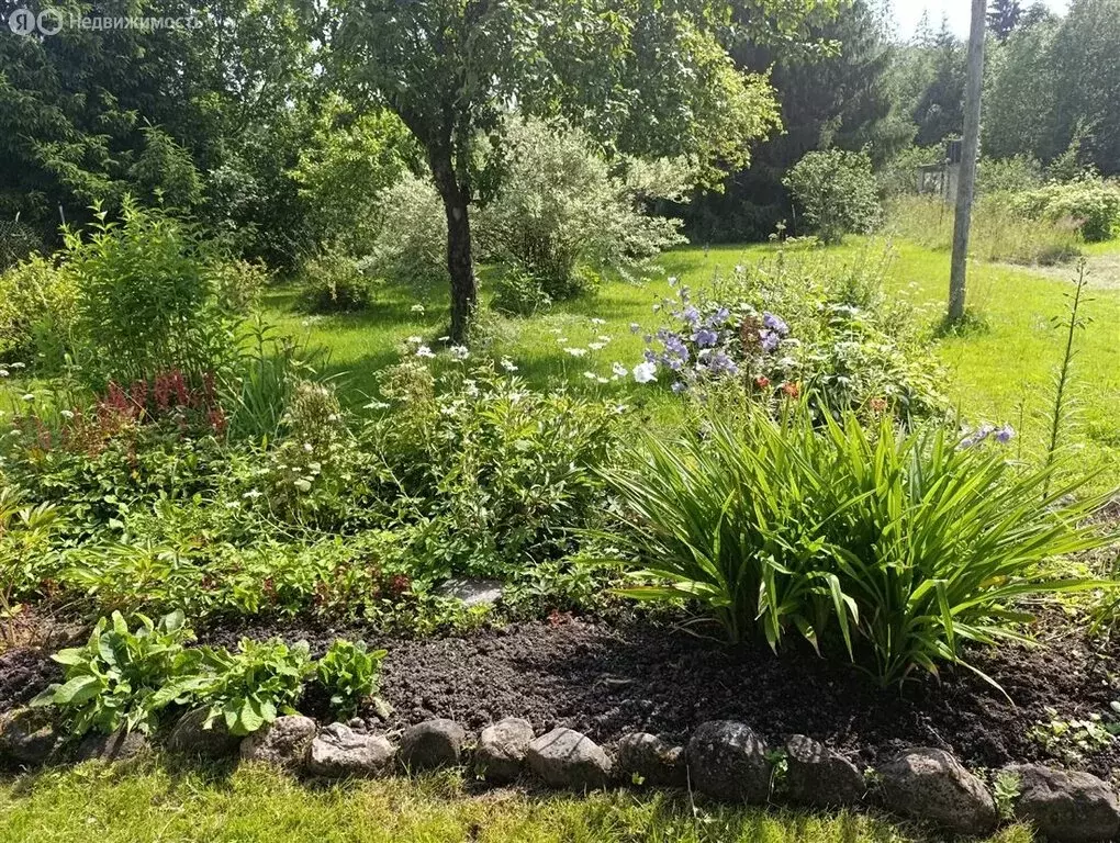 Дом в Кингисеппский район, Пустомержское сельское поселение, посёлок ... - Фото 1