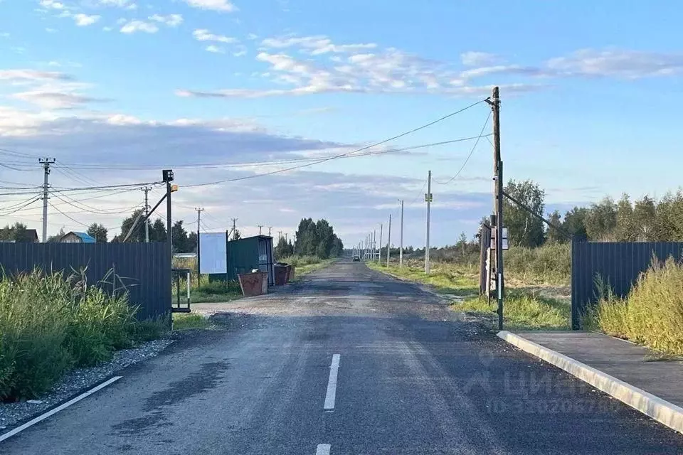Участок в Тюменская область, Тюмень Царево садовое товарищество, ул. ... - Фото 0