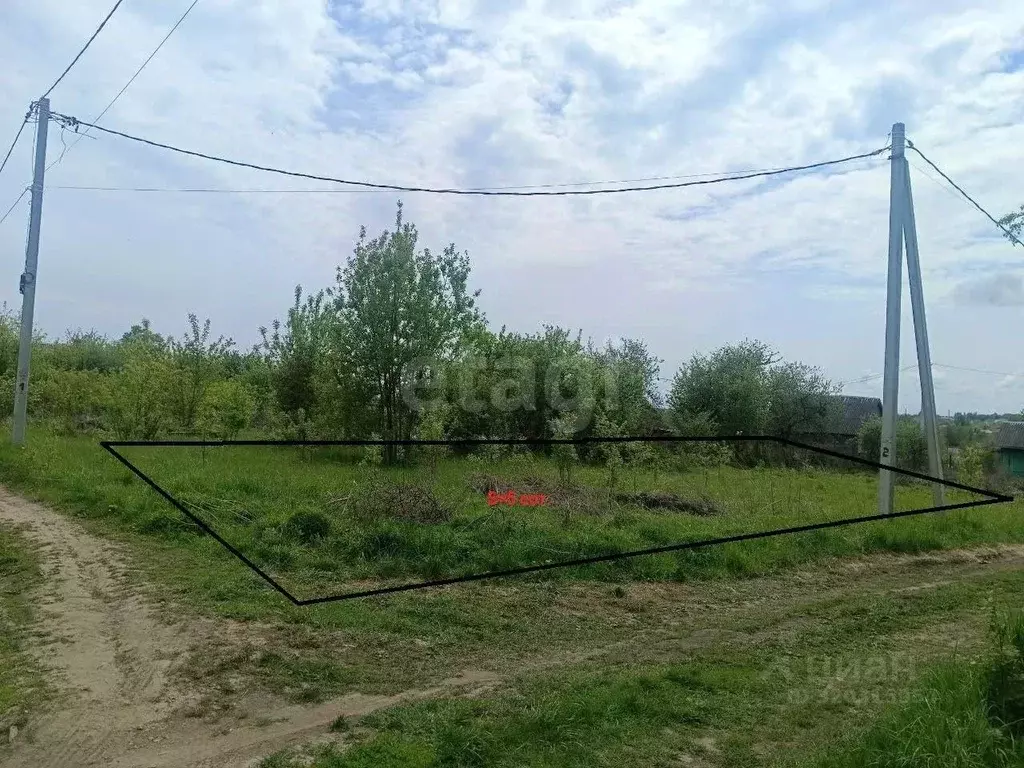 Участок в Брянская область, Брянский район, Снежское с/пос, пос. ... - Фото 0