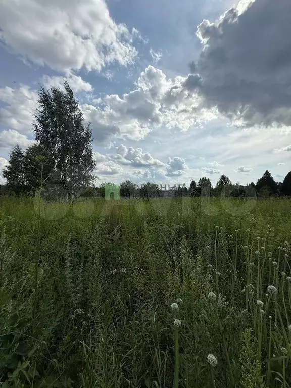 Участок 9 сот. (ИЖС) - Фото 0