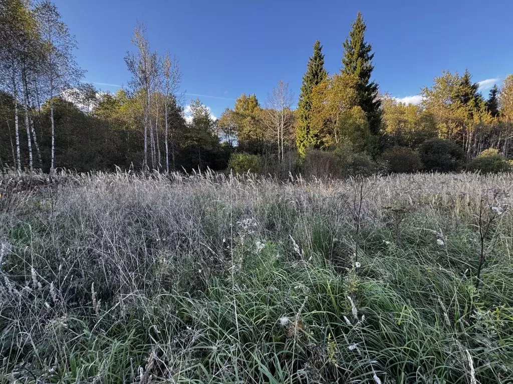 Участок в Московская область, Клин городской округ, д. Микляево  (10.0 ... - Фото 1