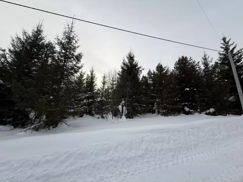 Участок в Пермский край, Пермский муниципальный округ, д. Кулики ул. ... - Фото 1