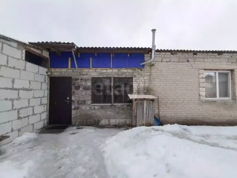 Дом в Воронежская область, Каменка пгт ул. Привокзальная, 5Д (67 м) - Фото 1