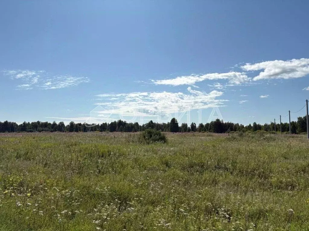 Участок в Тюменская область, Тюменский район, с. Аманадское  (4.0 ... - Фото 2