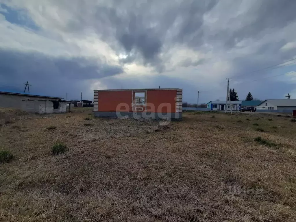 Участок в Алтайский край, Барнаул городской округ, пос. Новомихайловка ... - Фото 1