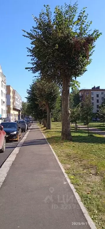 3-к кв. Ленинградская область, Выборг ул. Мира, 18 (118.0 м) - Фото 2