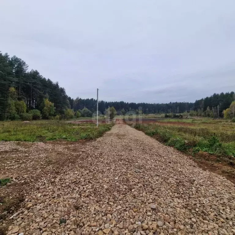 Участок в Калужская область, Боровск Бора-Боровск форестлейк кп,  ... - Фото 2