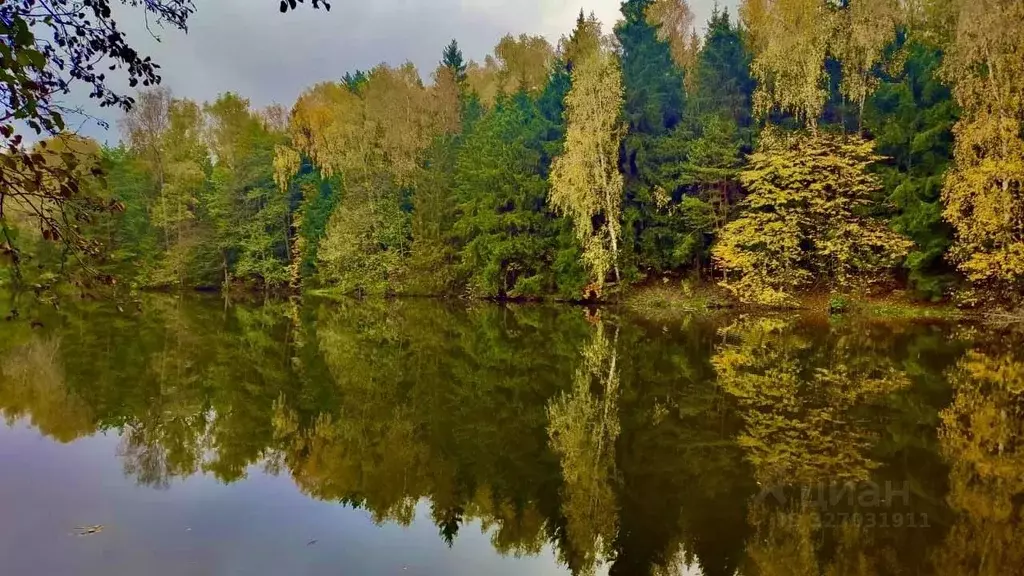 Участок в Московская область, Домодедово городской округ, д. Кутузово ... - Фото 2