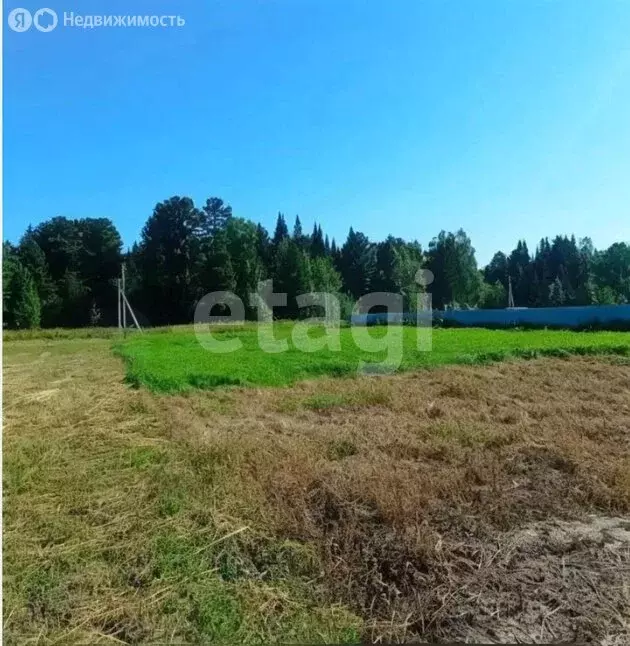 Участок в Томский район, Зоркальцевское сельское поселение, село ... - Фото 2