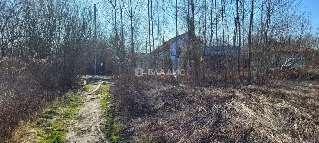 Участок в Калининградская область, Калининград Радуга СНТ, проезд ... - Фото 1