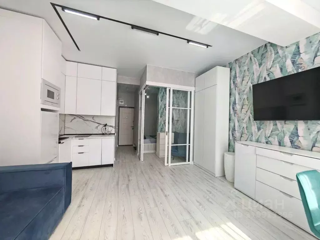 Студия Краснодарский край, Сочи ул. Кирова, 127 (30.0 м) - Фото 1