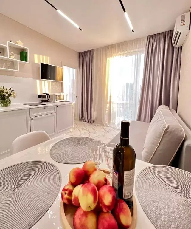 2-к кв. Краснодарский край, Сочи ул. Искры, 88к1 (30.0 м) - Фото 0