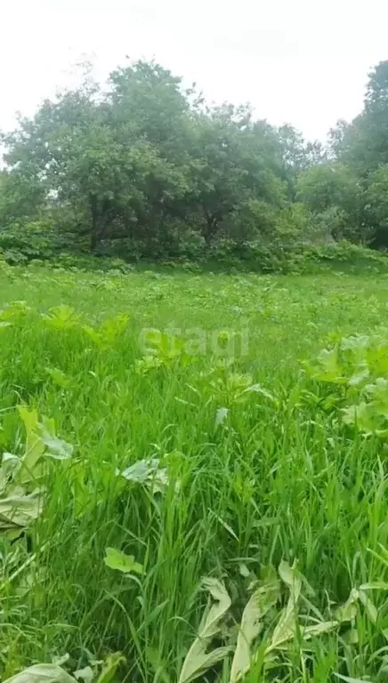 Участок в Калужская область, Сухиничский район, Дабужа с/пос, с. ... - Фото 2