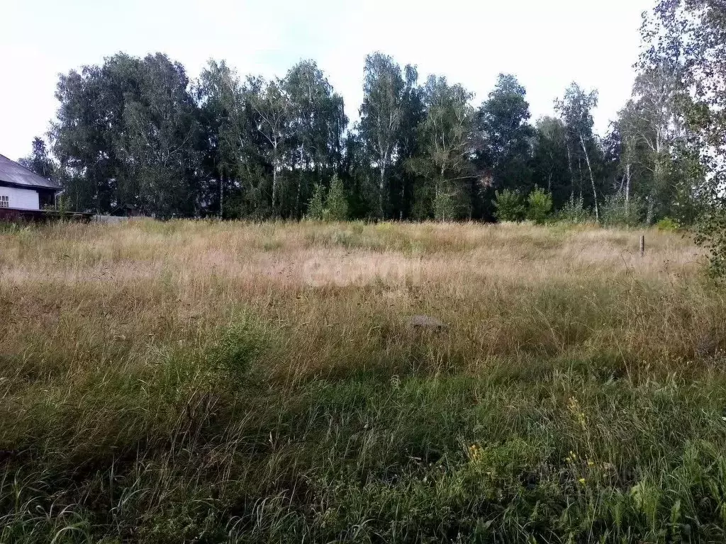 Участок в Алтайский край, Смоленский район, пос. Верх-Обский Лесная ... - Фото 1