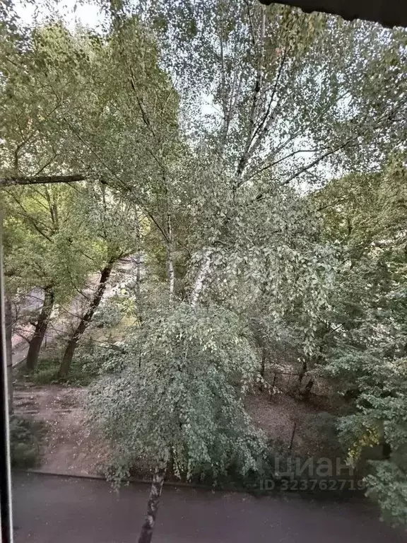 3-к кв. Воронежская область, Воронеж ул. 3-го Интернационала, 3 (55.0 ... - Фото 1