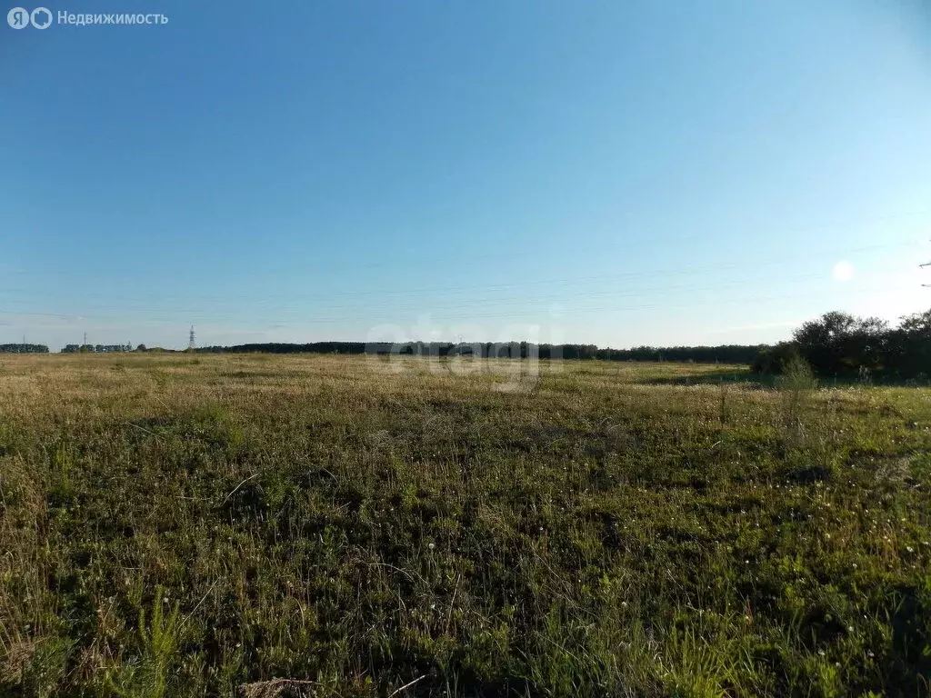 Участок в Болховский район, Новосинецкое сельское поселение, деревня ... - Фото 1