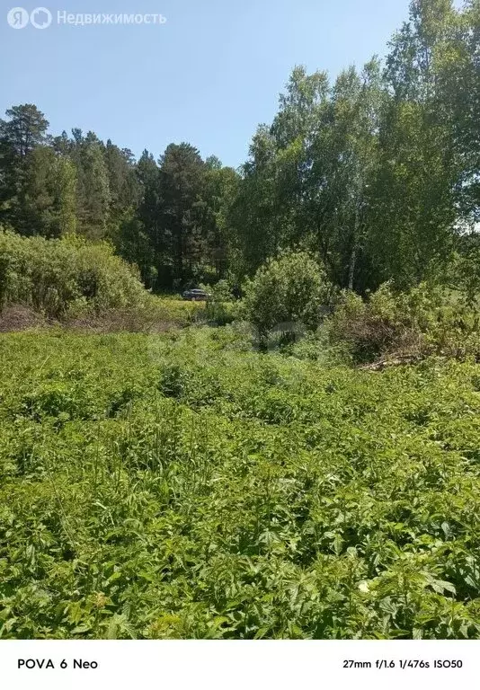 Участок в Майминский район, село Кызыл-Озек, Малиновая улица (10 м) - Фото 0