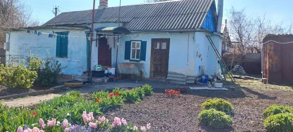 Дом в Ростовская область, Неклиновский район, Поляковское с/пос, ... - Фото 1